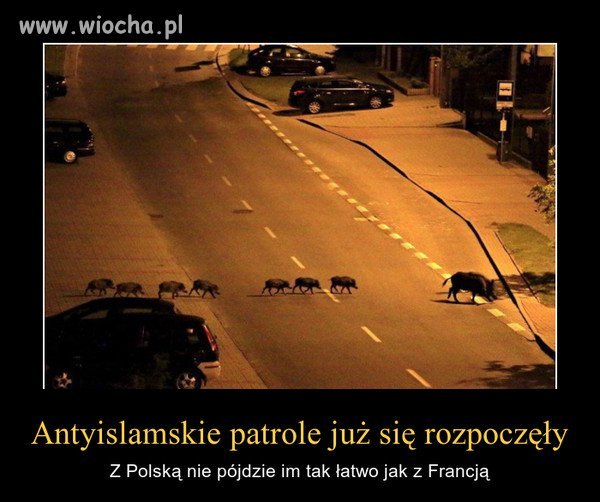 Miejmy nadzieje że na takich patrolach