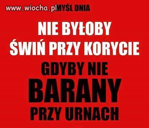 Taki wniosek się nasuwa 