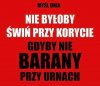 Taki wniosek się nasuwa 