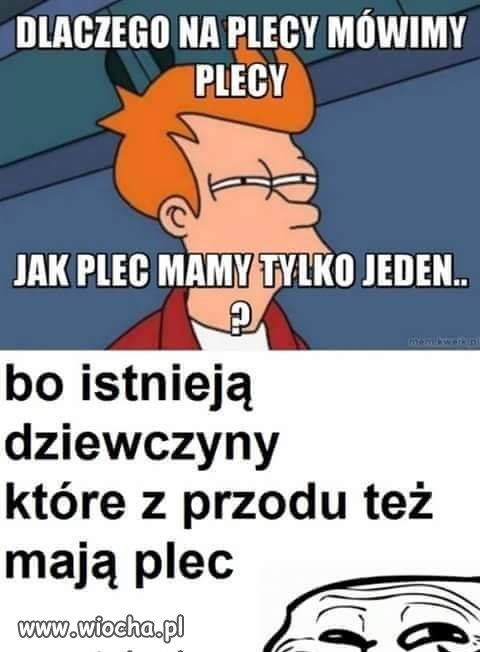 Z przodu plecy z tyłu plecy  