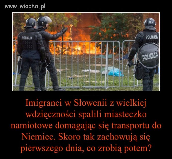 Ale co tam