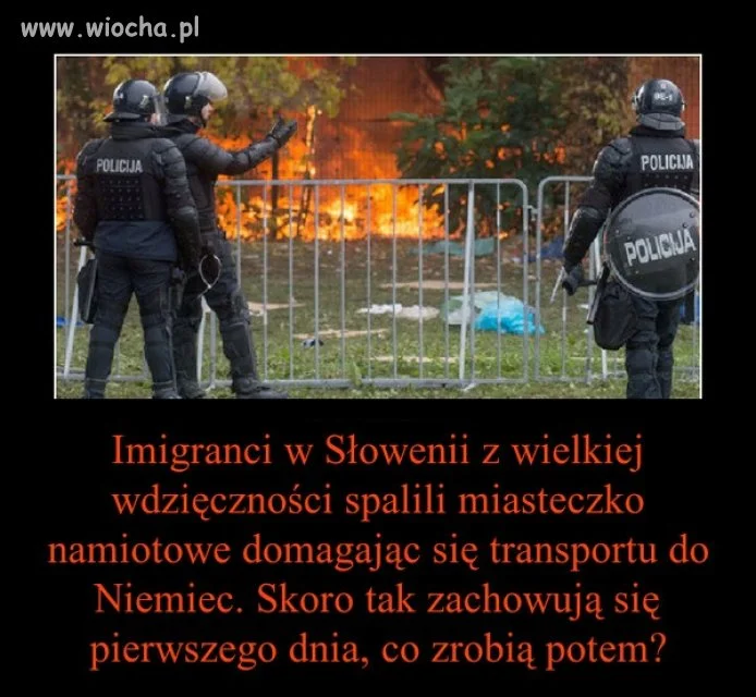 Ale co tam