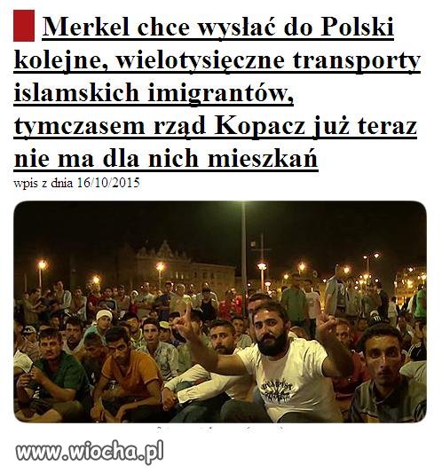 Nadciągają transporty islamskich imigrantów.