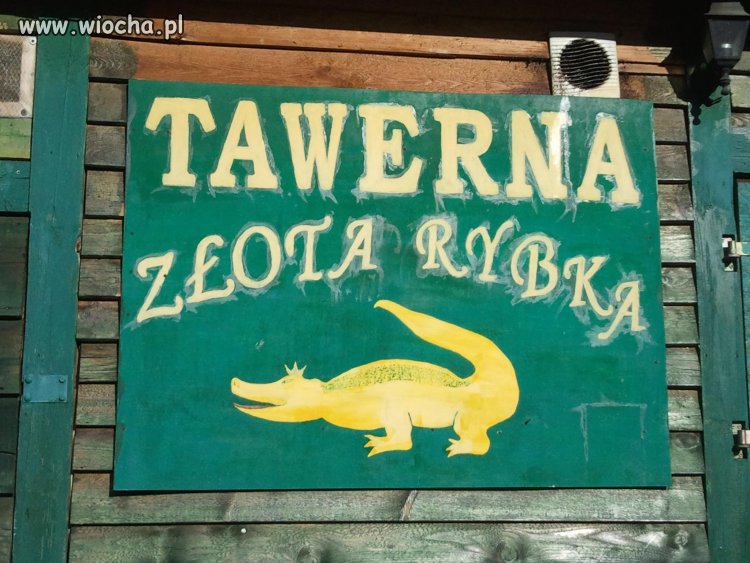 Złota rybka