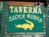 Złota rybka