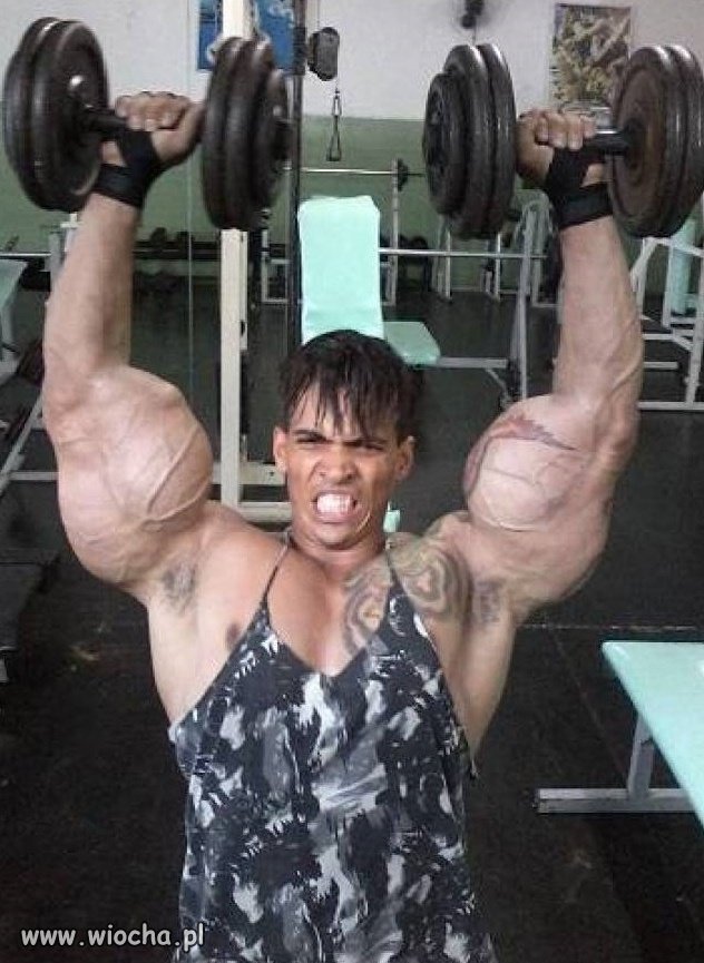 Syntholowy