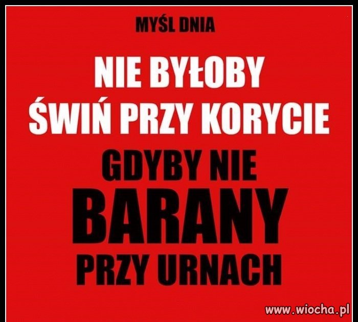 Nie byłoby świń,