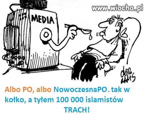 Czy widziałeś spot Kukiz'15 czy Korwin?