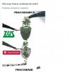 Złodzieje od 8 lat obiecują, że coś zmienią?