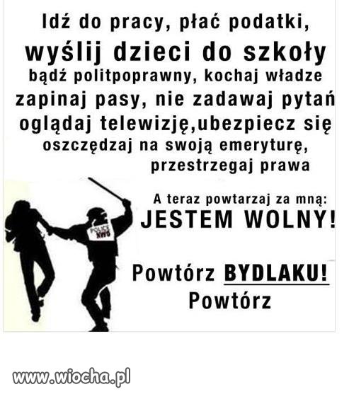 Jesteś wolny?