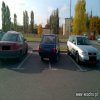 Mistrz parkowania
