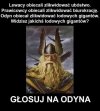 Głosuj...