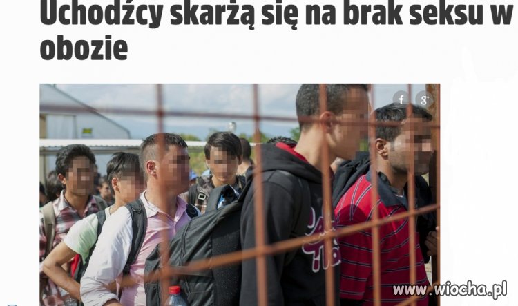 "Laski" zostawili  w oborze 