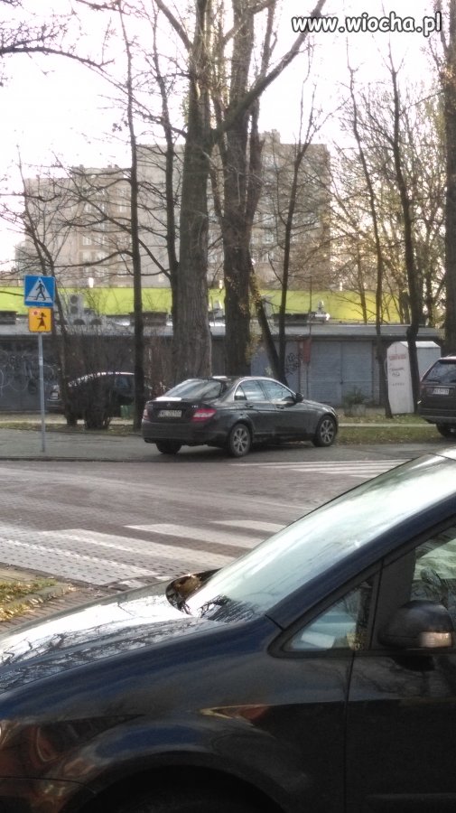 Mistrz parkowania