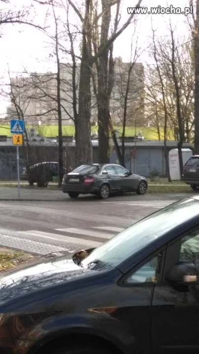 Mistrz parkowania