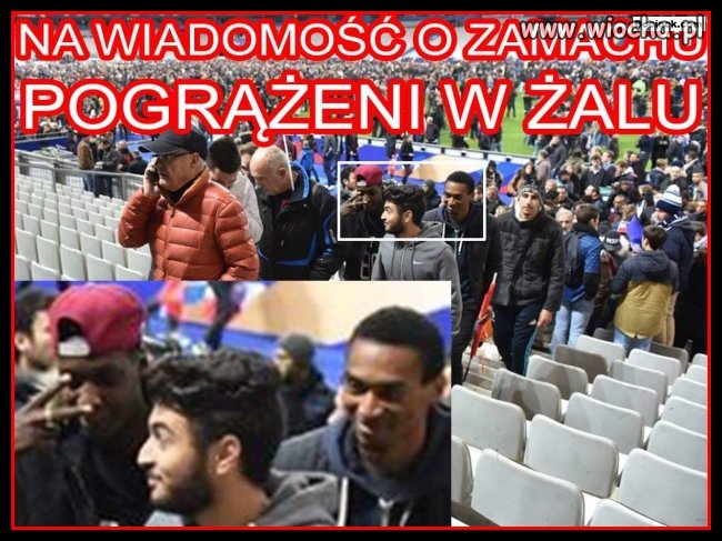 Kibice we Francji pogrążeni w żalu