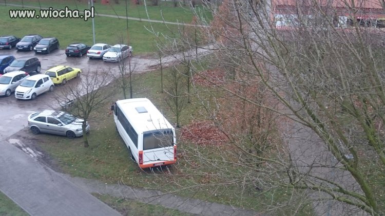 Tak parkują busy Fr... W Bydgoszczy 