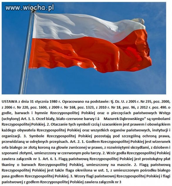 Wiocha dla PO bo nie wiedzą dlaczego ta flaga.
