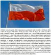 Wiocha dla PO bo nie wiedzą dlaczego ta flaga.