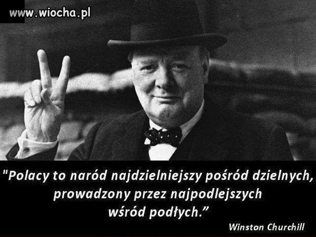 Nic dodać, nic ująć