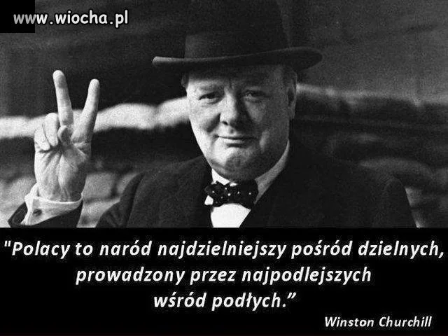 Nic dodać, nic ująć