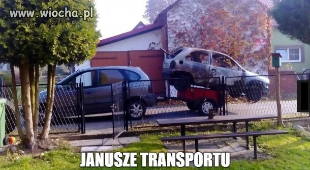 Janusze 