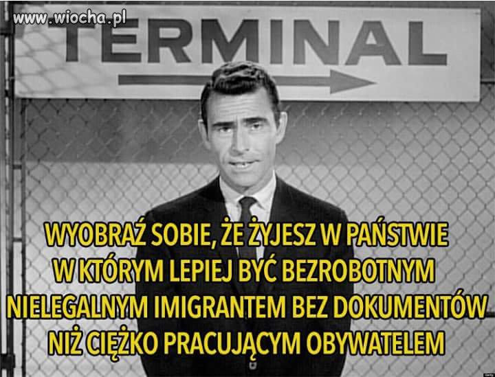 Wszystko w temacie