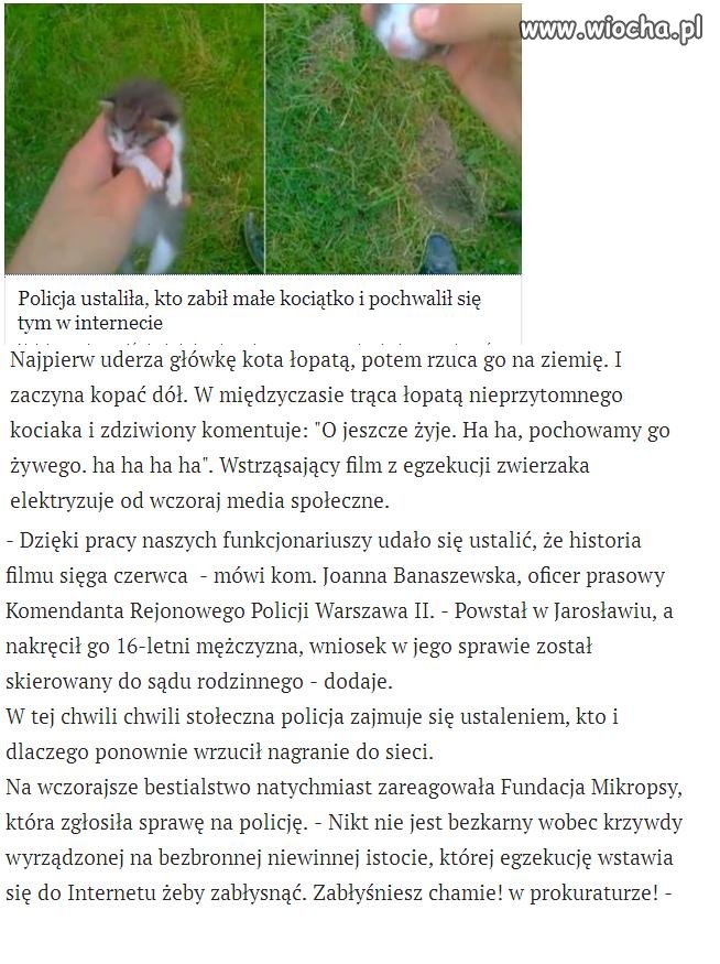 Bydlak zabił kotka i pochwalił się w internecie.