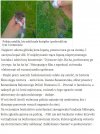 Bydlak zabił kotka i pochwalił się w internecie.