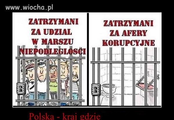 Obrońcy Demokracji w rzeczywistości!