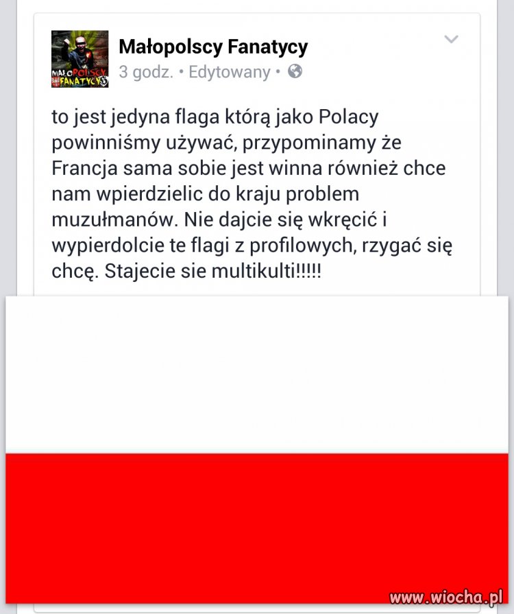 11 listopada zmieściłeś flagę w profilu ?