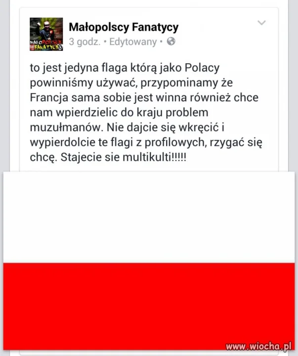11 listopada zmieściłeś flagę w profilu ?
