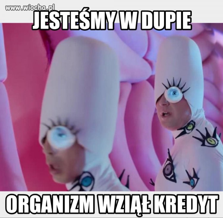 Organizm wziął kredyt