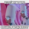 Organizm wziął kredyt