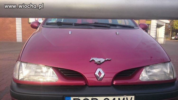 Renault Mustang