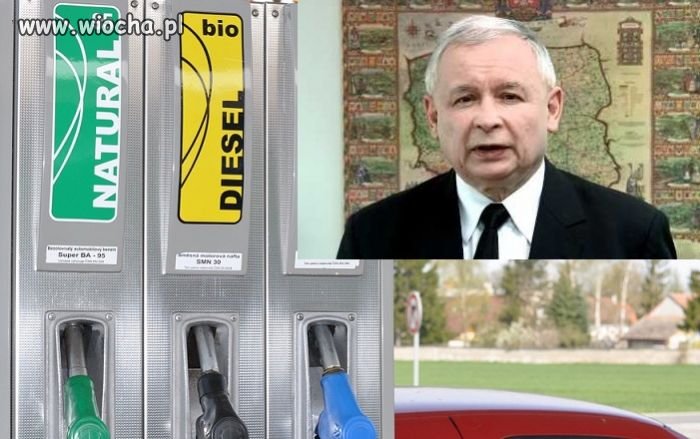 PiS cofa ważną reformę PO i bierze się za mafię 