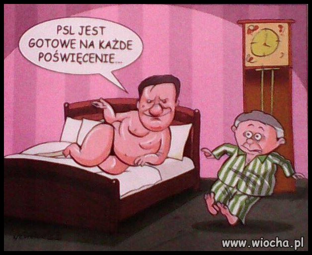 Bo PSL się szmaci bardziej niż PO