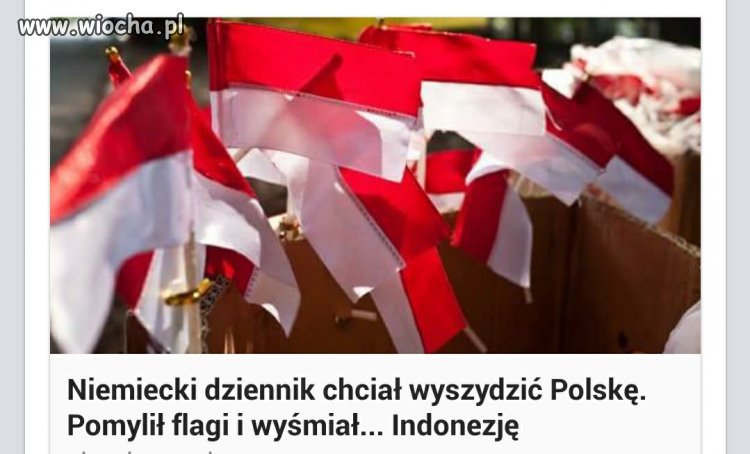 Chcieli wyszydzić Polskę barany pomylili flagi