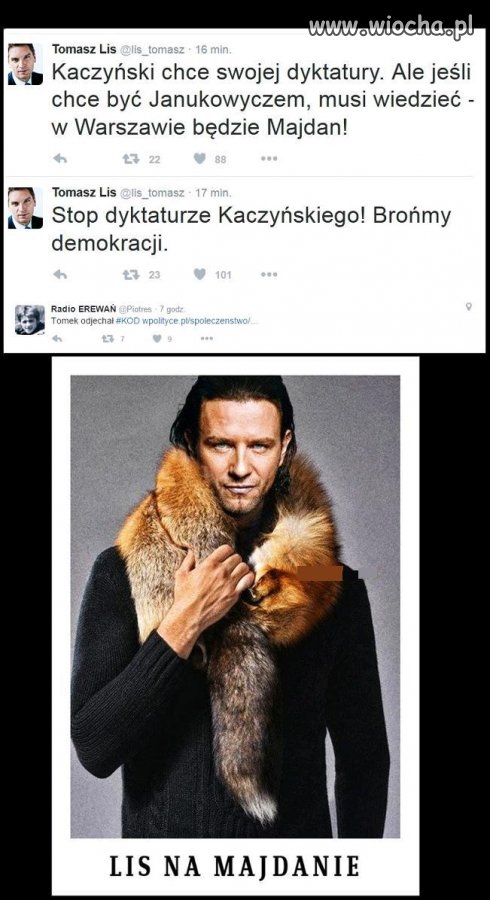 Lis upada dość żałośnie ...