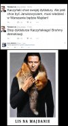 Lis upada dość żałośnie ...
