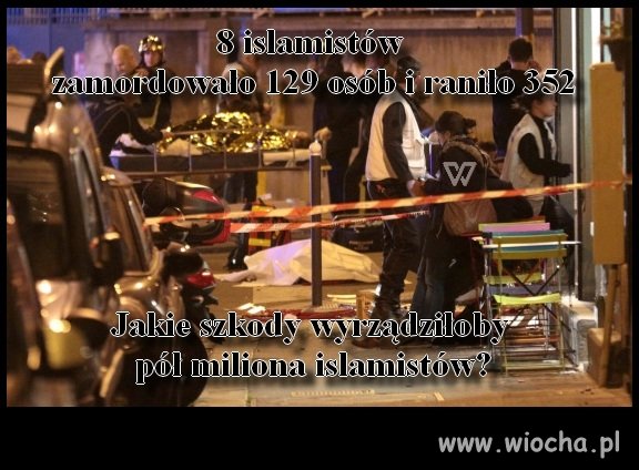 Tylko 8 islamistów, a takie szkody 