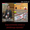 Pytanie raczej retoryczne.
