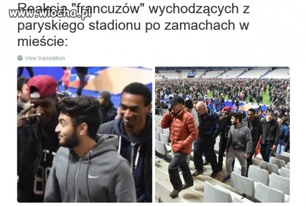 To mówi samo za siebie...