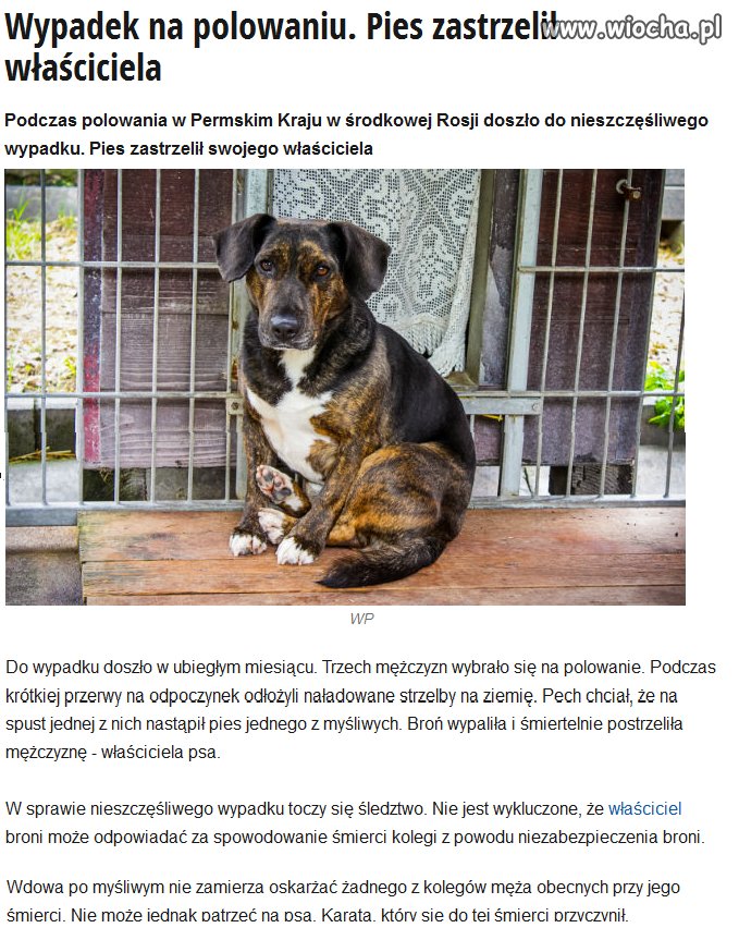 Czyżby karma?