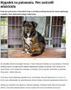 Czyżby karma?