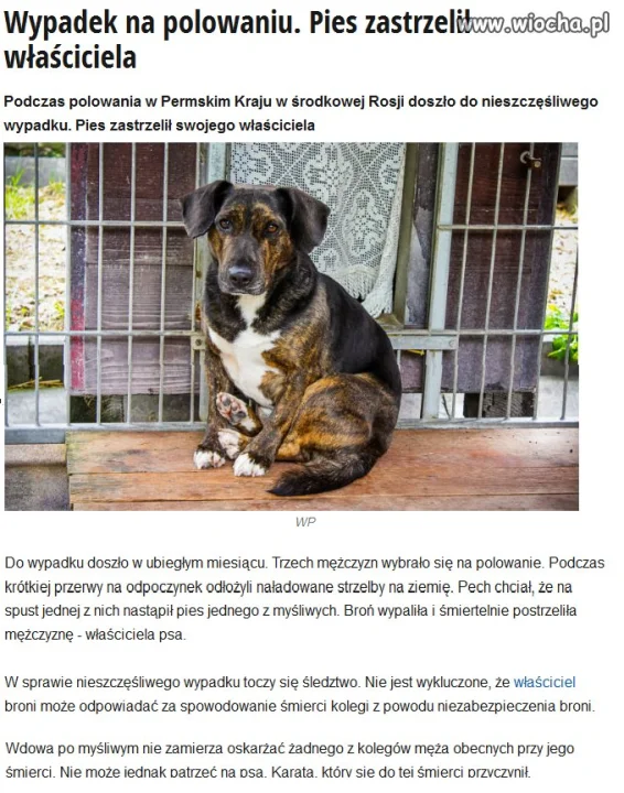 Czyżby karma?