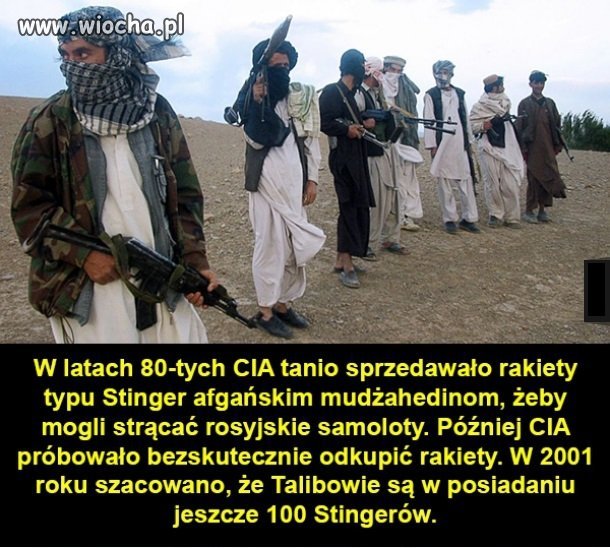 Właśnie USA są 