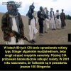 Właśnie USA są 