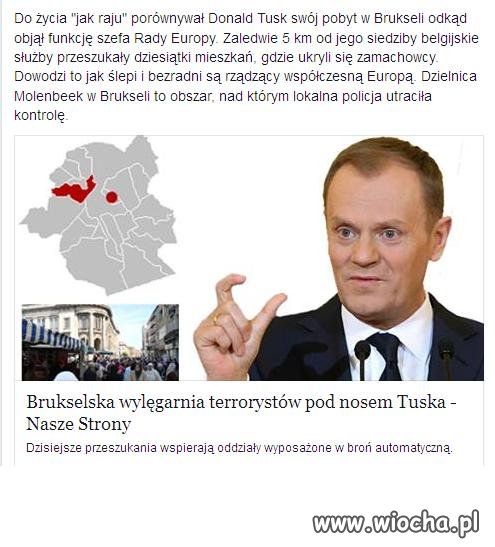 Brukselska wylęgarnia terrorystów pod nosem Tuska
