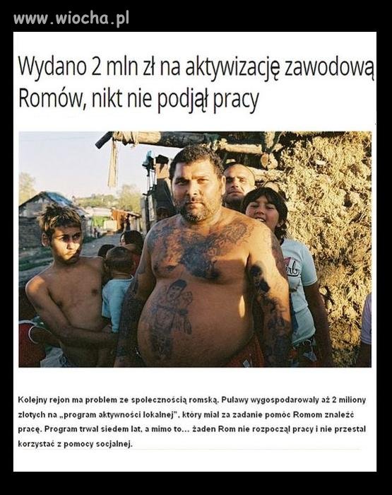 Gratulujemy pomysłu